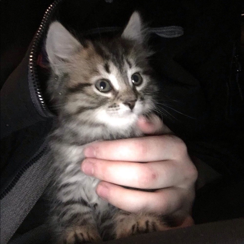 Meet your Posher, Michelle